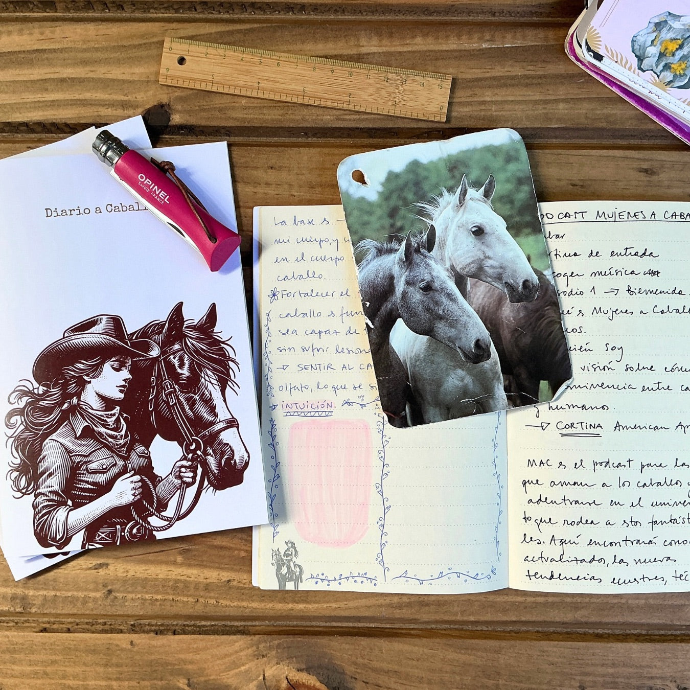 Libreta diario a caballo
